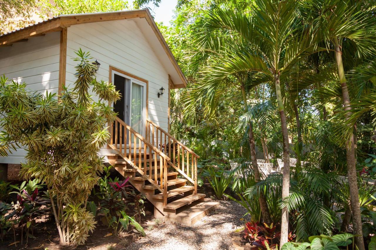 Angeli Gardens Boutique Hotel San Pedro Sula Dış mekan fotoğraf