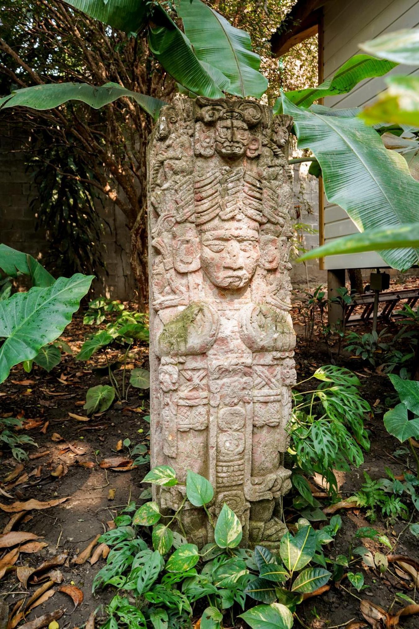 Angeli Gardens Boutique Hotel San Pedro Sula Dış mekan fotoğraf